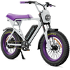 Macfox E-bike X1S x Bs.zay