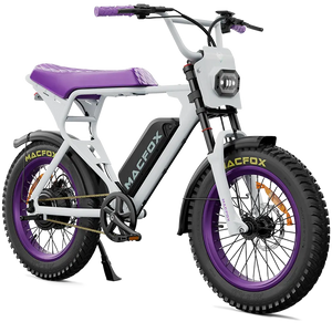 Macfox E-bike X1S x Bs.zay